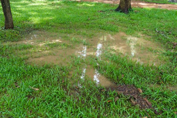 Cost of Storm Water Drainage Service in Phoenix