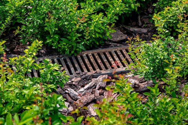 Cost of Underground Drainage Service in Phoenix