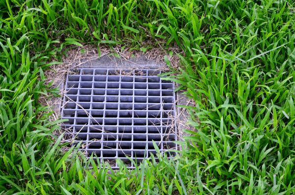 Cost of Yard Water Drainage in Phoenix