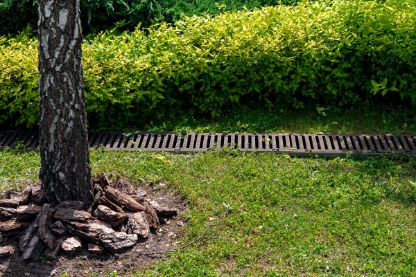 Cost of Yard Water Redirection in Phoenix