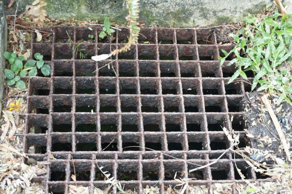 Cost of Yard Drain Cleaning in Phoenix