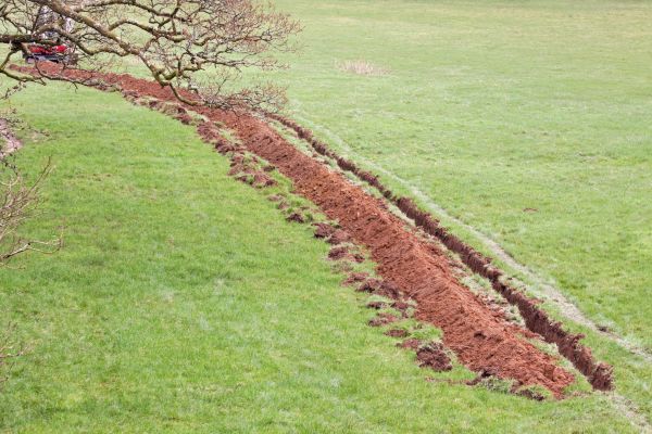 Cost of Swale Installation in Phoenix