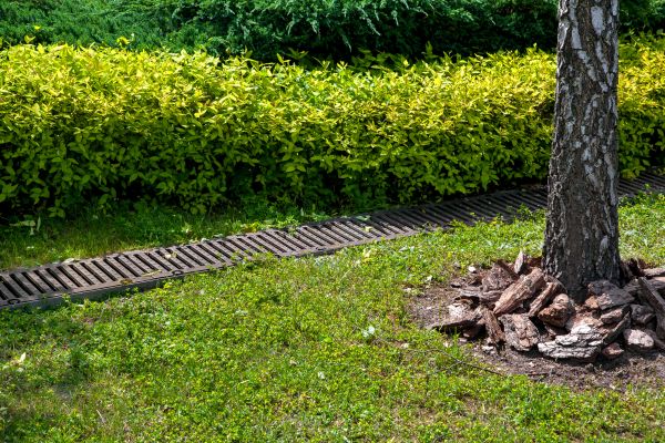 Cost of Residential Landscape Drainage in Phoenix