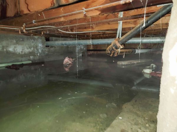 Cost of Crawlspace Drainage in Phoenix