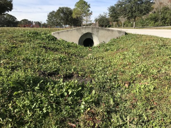 Cost of Swale Drainage Service in Phoenix
